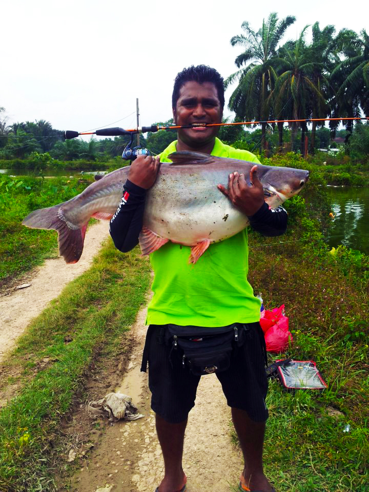 This 8lb mondo I caught on an ultralight. : r/Fishing