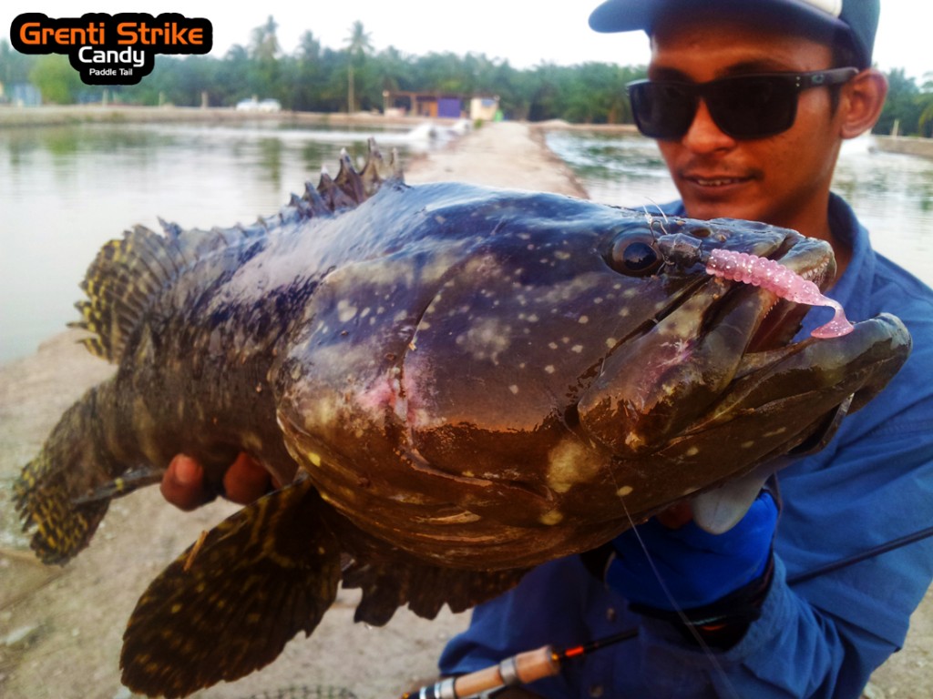 This 8lb mondo I caught on an ultralight. : r/Fishing