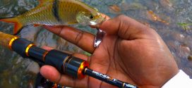 kanicen-nix-ultralight-anglers-grenti-strike-sebarau-micro-spoon