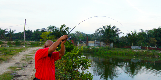 pemilihan-rod-ultralight-yang-sesuai