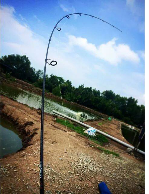 Ultralight Rod Action