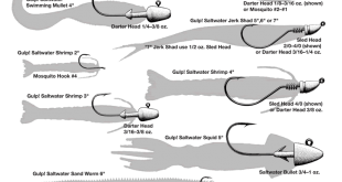 berkley_rigging_chart