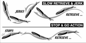 soft-baits-jerk-technique-ultralight-anglers
