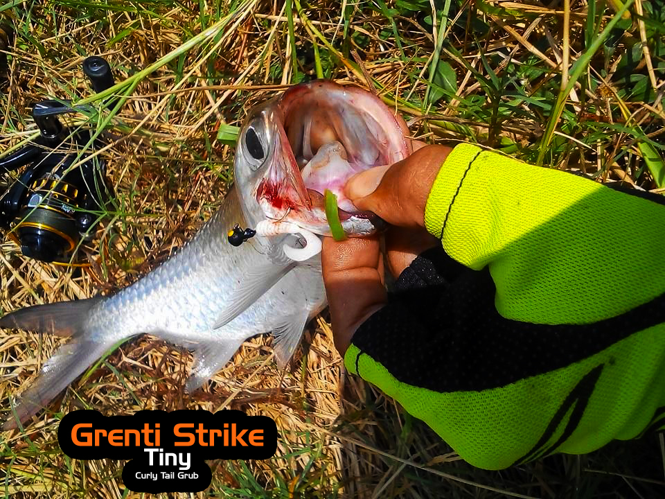 Grenti Strike - Tiny Curly Grub