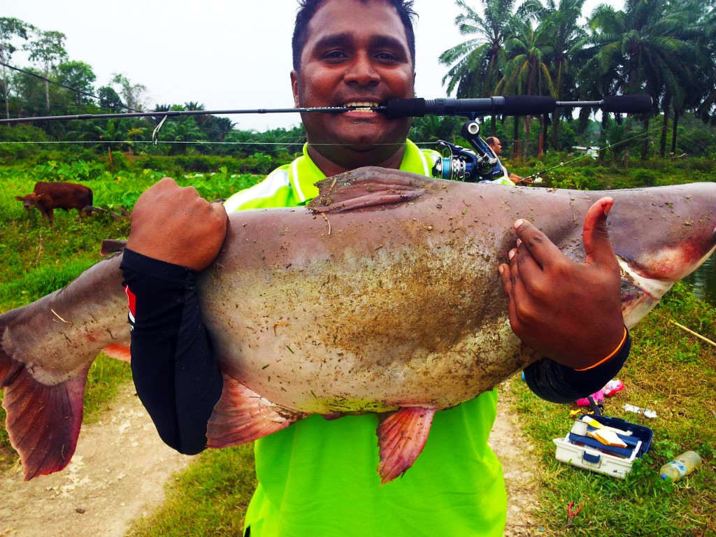 Patin-16kg on ultralight