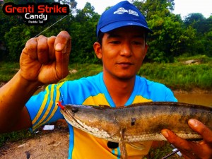 haruan-on-ultralight