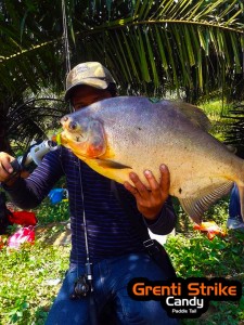 pacu-on-ultralight