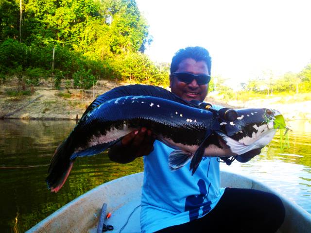 When your friend told prepare UL fishing but have big fish #daiwa  #ultralightfishing #fishing 