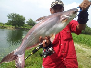 cepoy-patin-on-ultralight