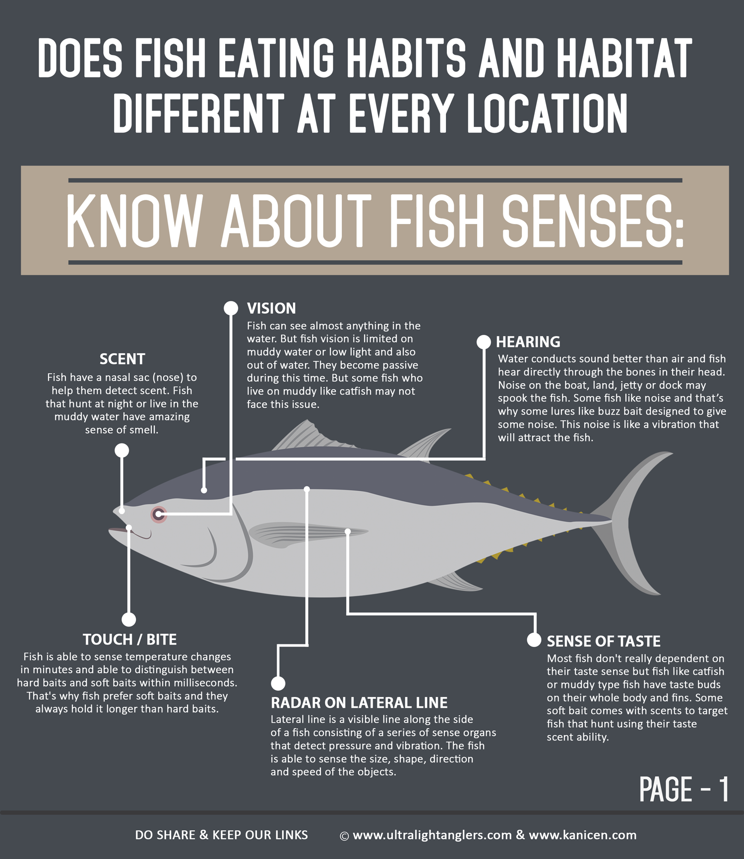Does Fish Eating Habits and Habitat Different at Every Location?