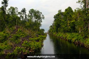 lokasi-hutan-ikan-bujuk