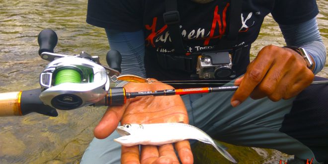 rod bc ultralight