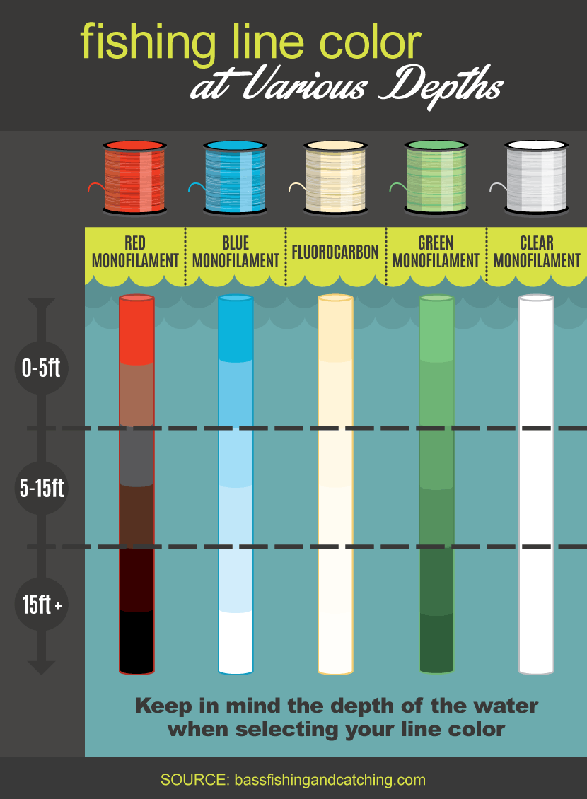 Choosing the Best Fishing Line: Mono vs. Fluoro vs. Braid