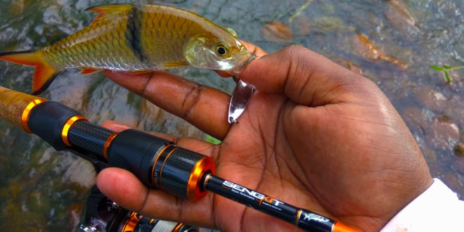 The Pros and Cons of Spinning Reels For Ultralight Fishing  Ultralight  Fishing Tips and Tricks For Ultralight Anglers