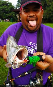 ikan-belida-clown-fish-with-ultralight-kanicen-nix-ultralight-rod-setup-soft-baits-komander-lemon-tea