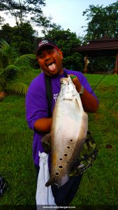 komander-lemon-tea-ultralight-fishing-kanicen-nix-softbaits-flexi-tail