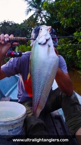 teknik-pancingan-bottom-ikan-belida-sarawak-zafri-abdullah