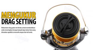 Reel Pancing  Ultralight Fishing Tips and Tricks For Ultralight Anglers
