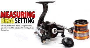 measuring-your-fishing-reel-drag-for-ultralight-fishing