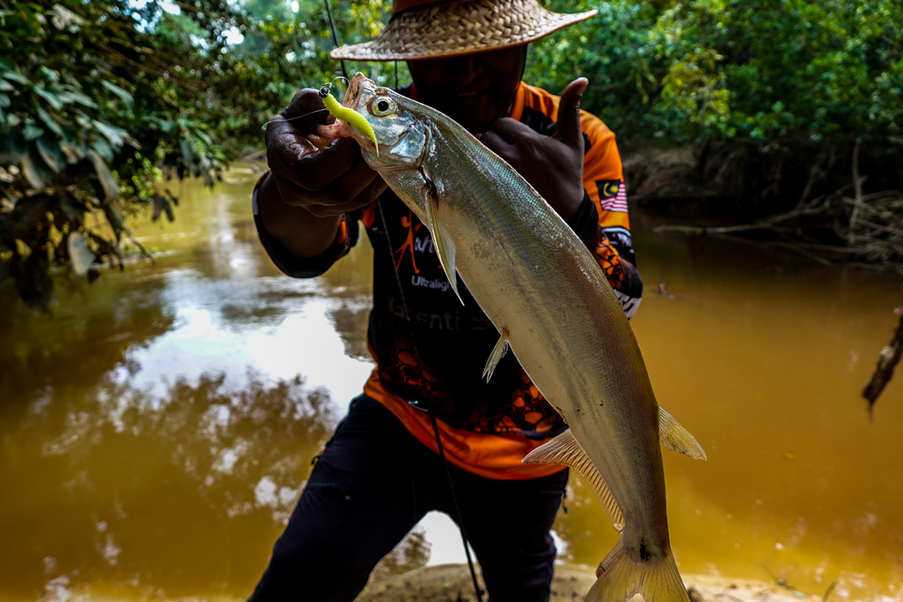 Memancing Ikan  Air Tawar 50 Umpan Jitu Untuk Semua Ikan  