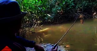 ultralight fishing  Ultralight Fishing Tips and Tricks For Ultralight  Anglers