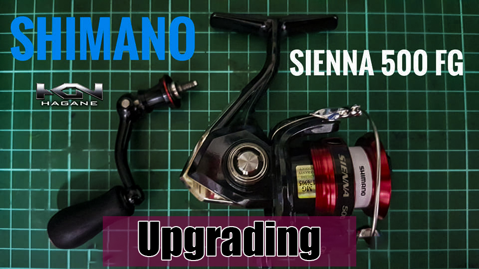 Upgrading SHIMANO Sienna 500 FG  Ultralight Fishing Tips and