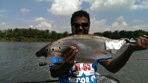 belida-on-ultralight