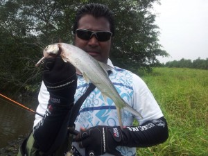 ladyfish-on-ultralight